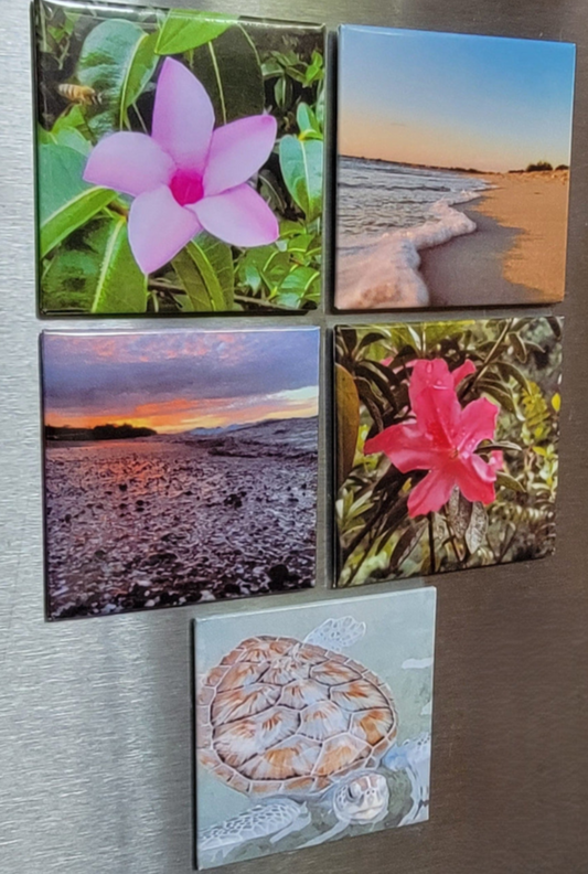 Custom Photo Magnets - Set of 5