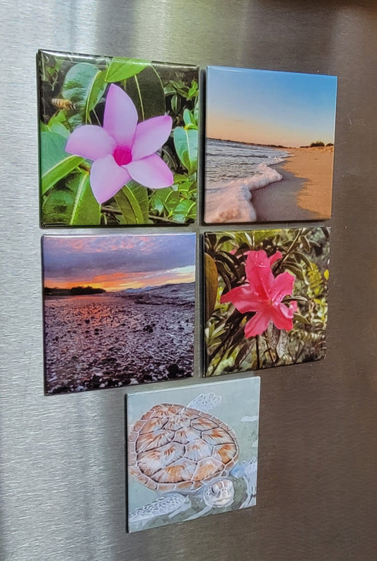 Custom Photo Magnets - Set of 5